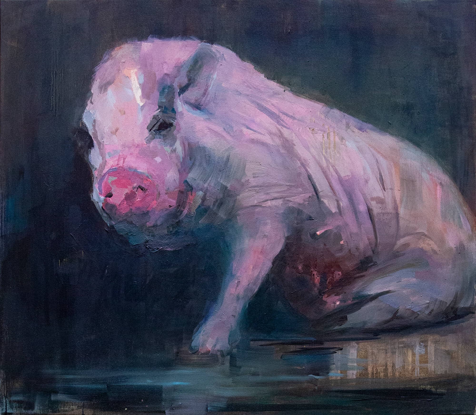 Pig