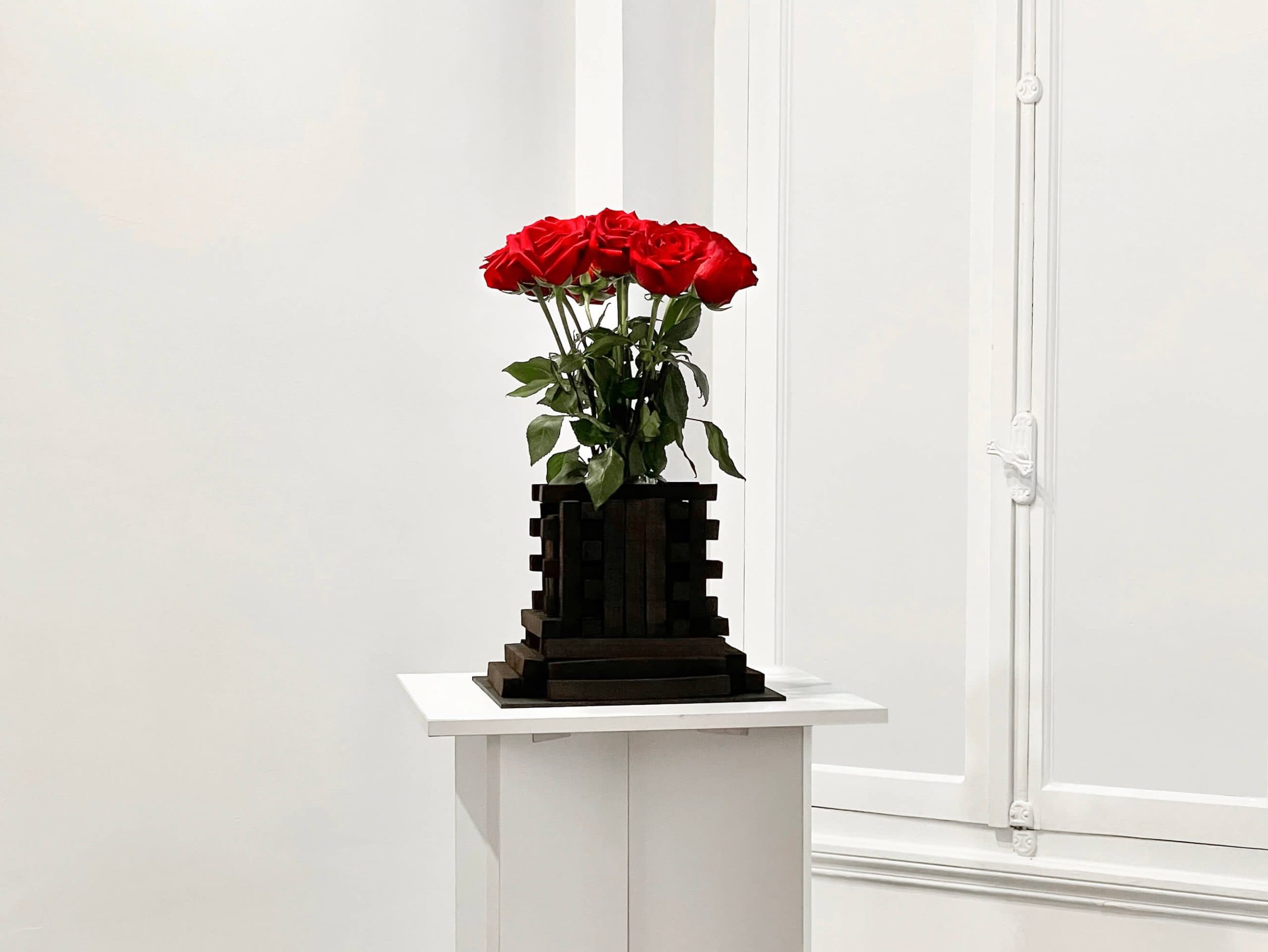 Roses of Donetsk, Roses for Donetsk
